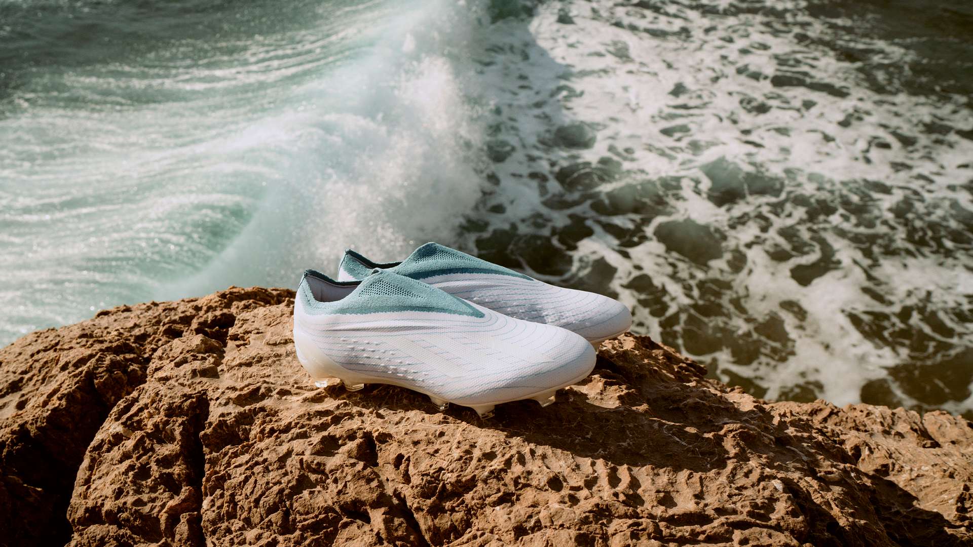 球迷的参与 球迷的参与